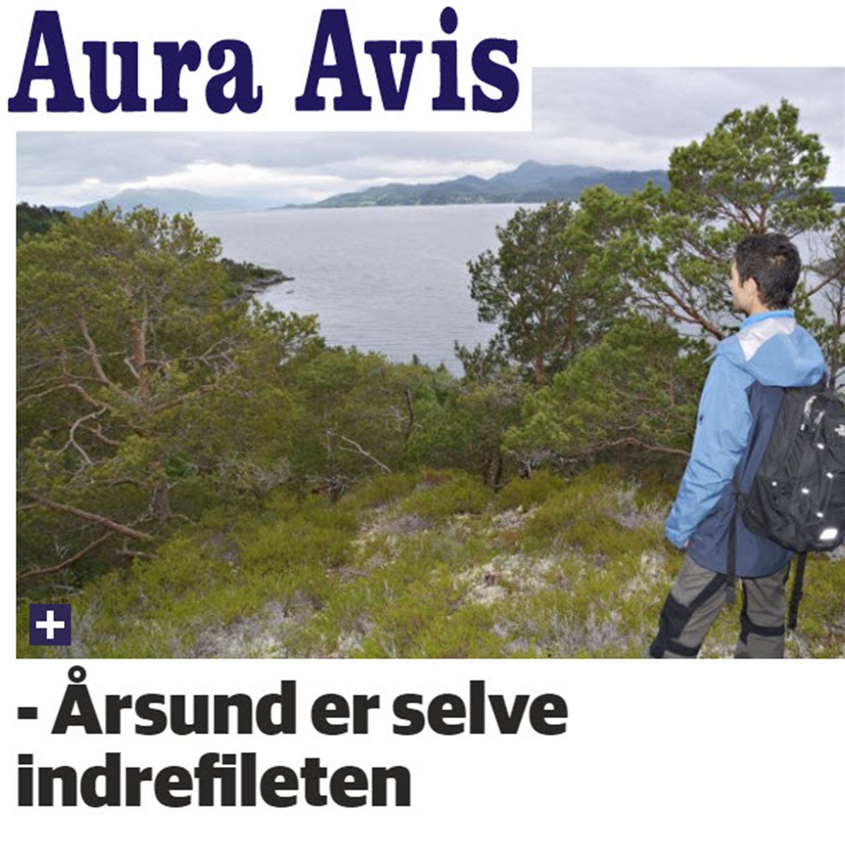 Avisutklipp fra aure avis