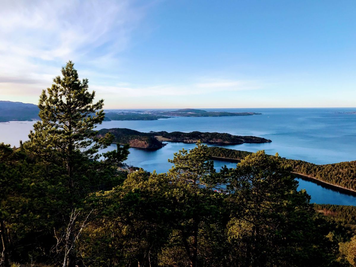 Trær i forgrunnen og hav, skjær og blå himmel i horisonten